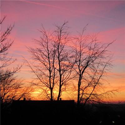 火狐官网下载手机版