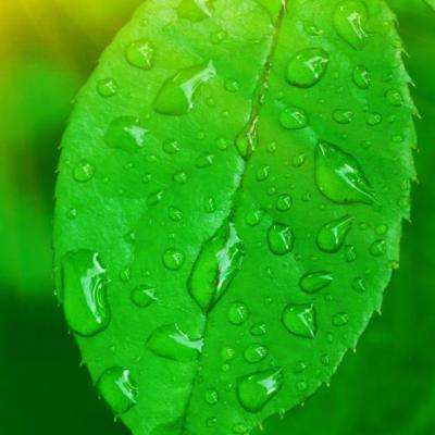 半岛登录平台网址