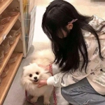 yabo官网网页版app下载